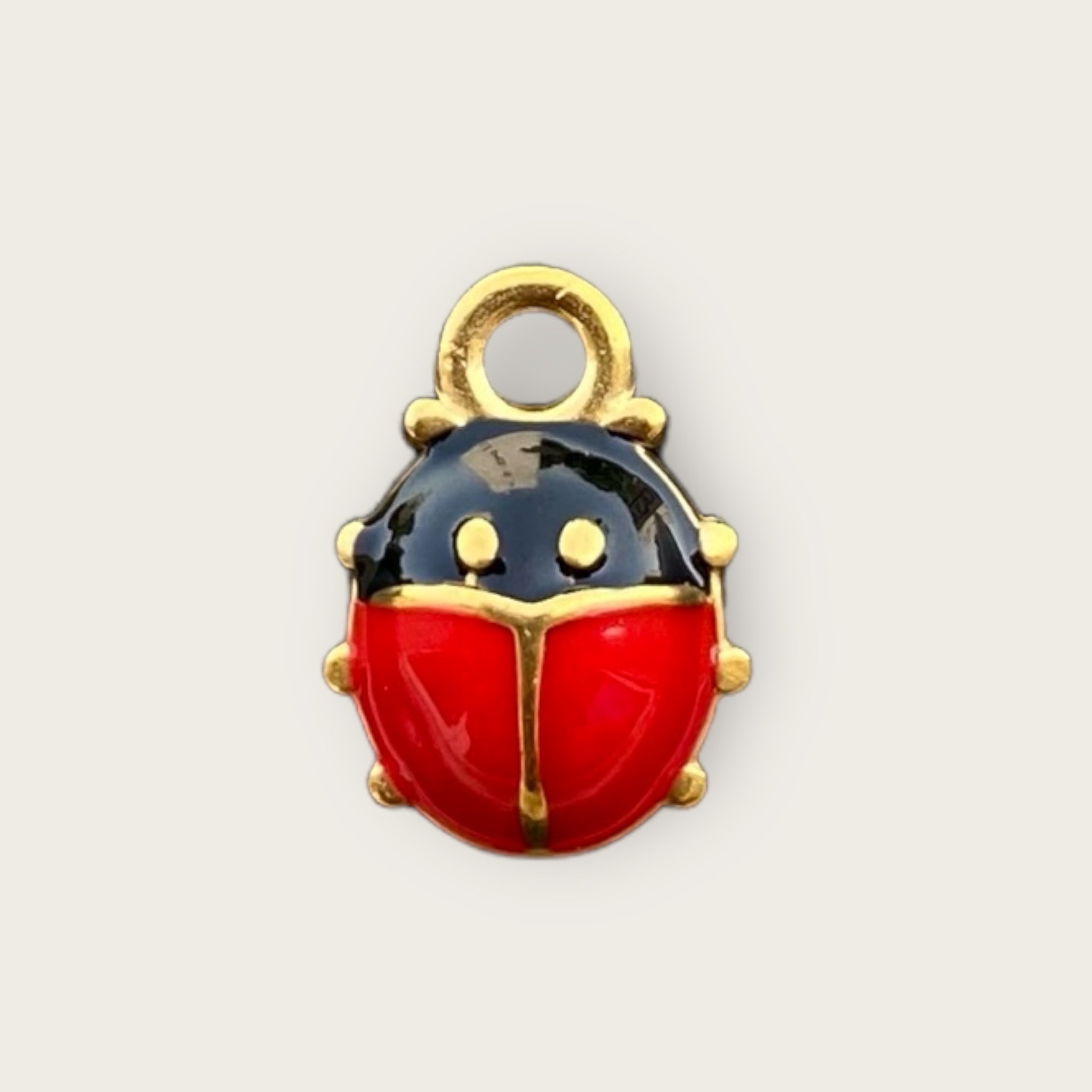 Ladybug Charm