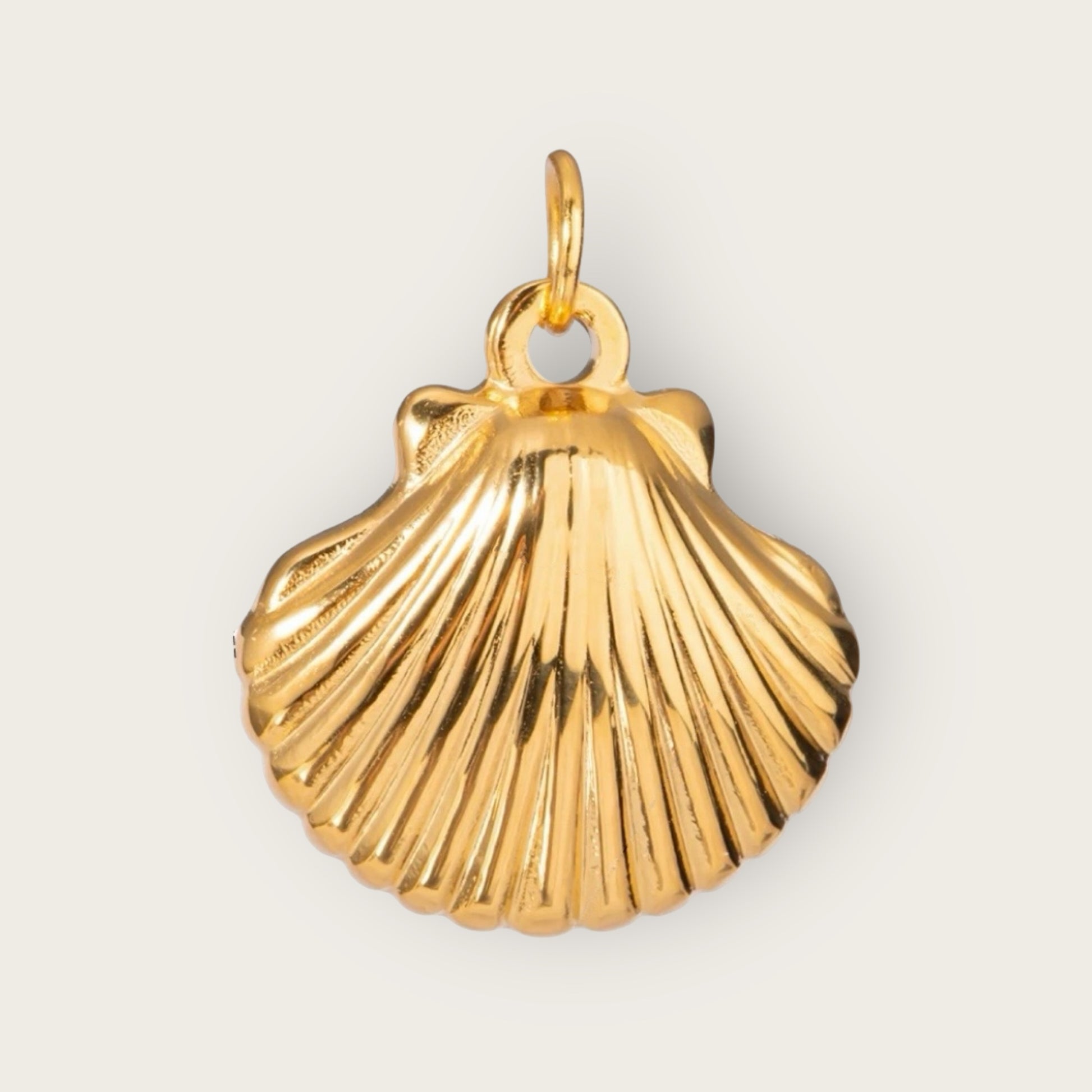 Shell Charm