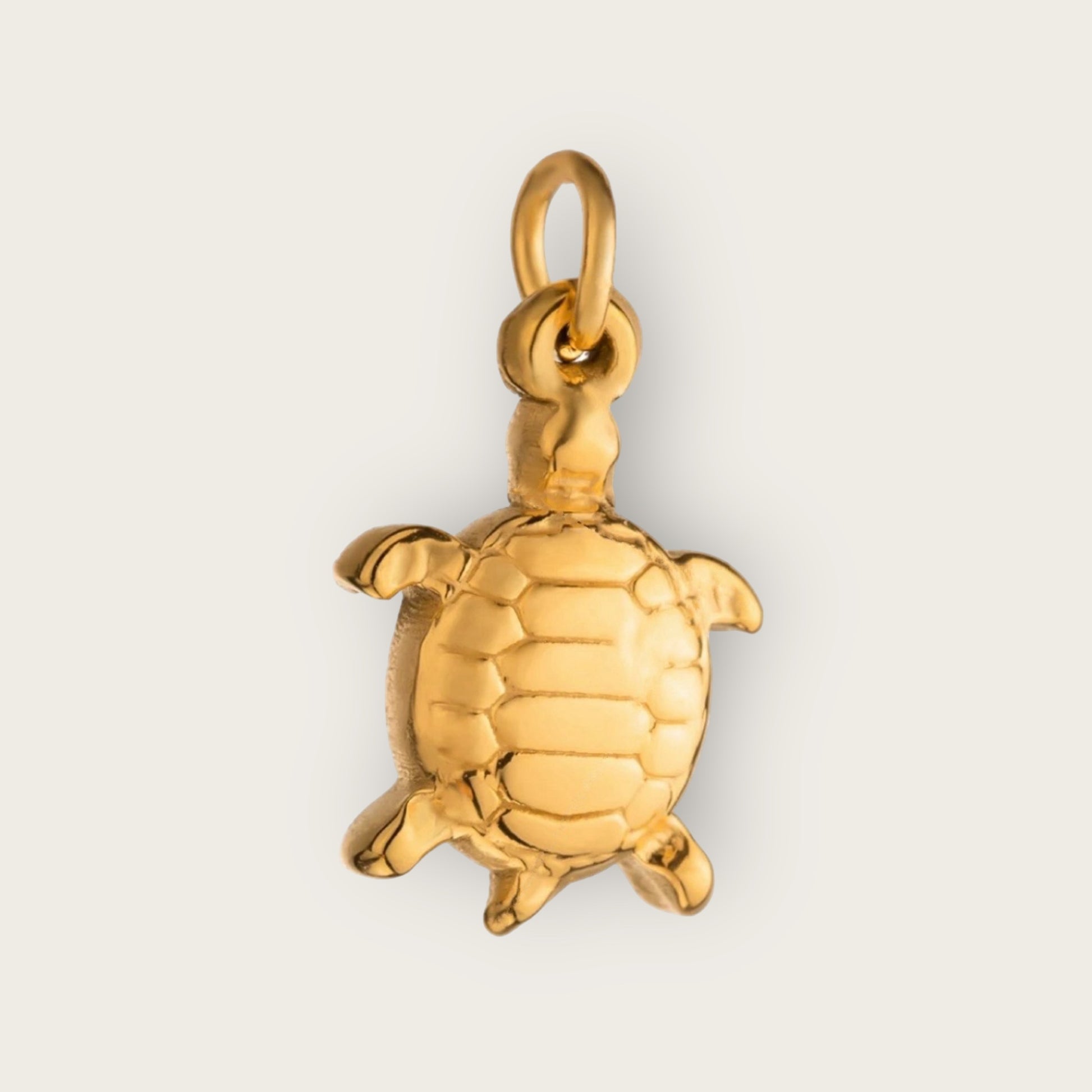 Turtle Charm